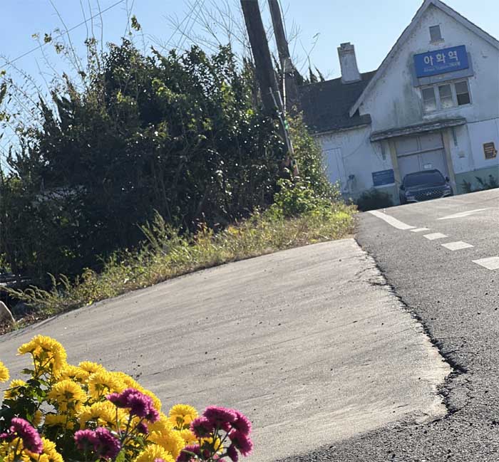 길가옆 꽃 뒤로 보이는 폐역된 아화역