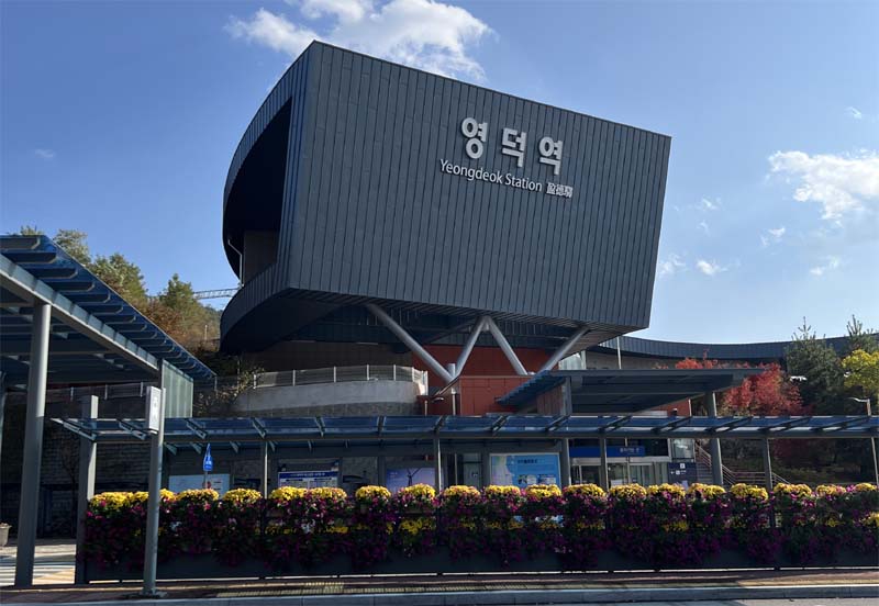 누리로와 영덕역에서 시장 구경 2시간 50분의 혼행