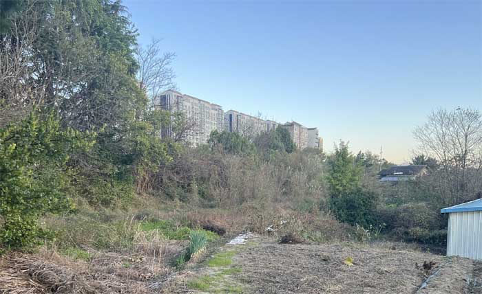 동방역 폐철로위 우거진 나무와 잡초뒤에 보이는 현대식 아파트