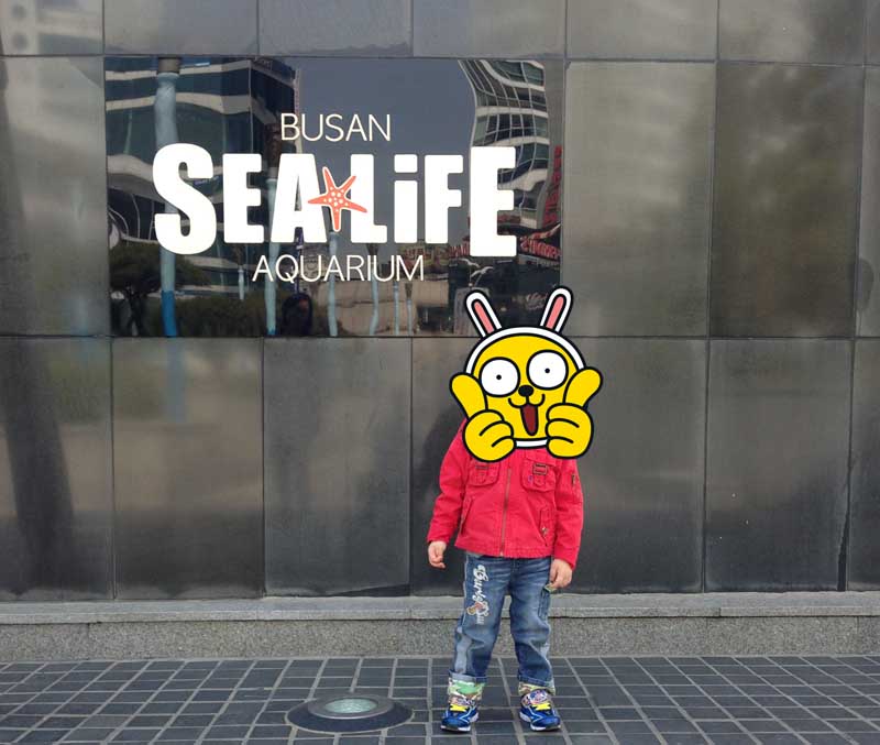 부산아쿠아리움 가족여행