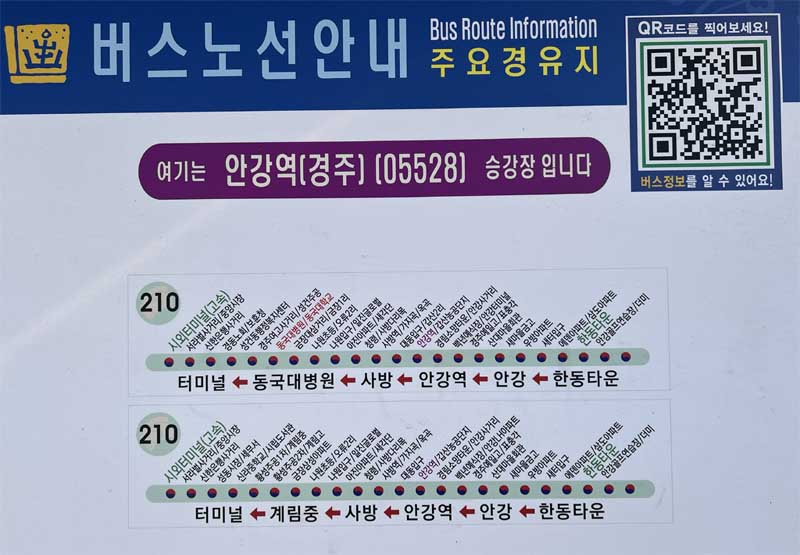 안강역 버스 노선 안내