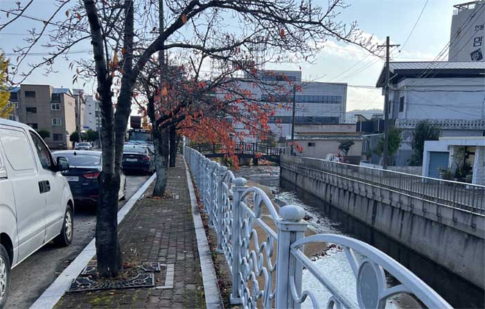 영덕역에서 영덕 전통시장 가는 길