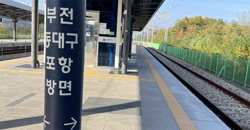 영덕역에서 집으로 돌아가는 기차