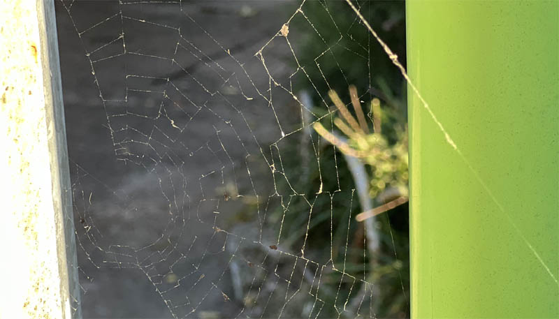 우리 가족 경주 주변 기차 시간이 멈춘 폐역 탐방
