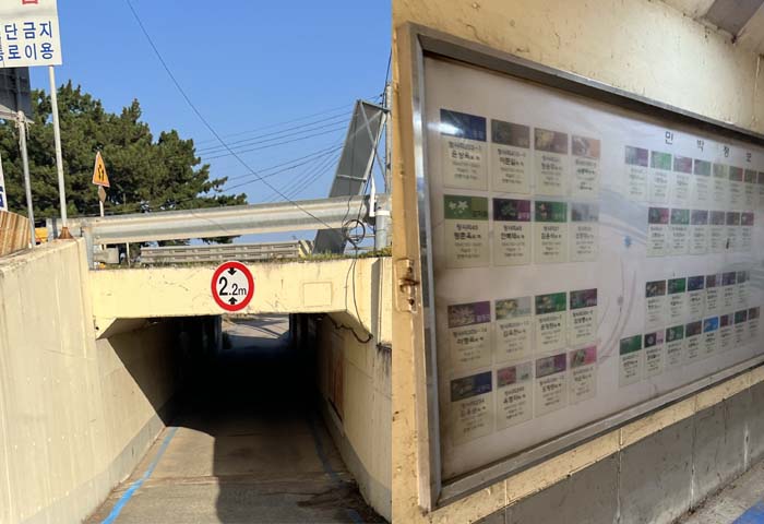 장사 해수욕장 주변의 실용적인 팁