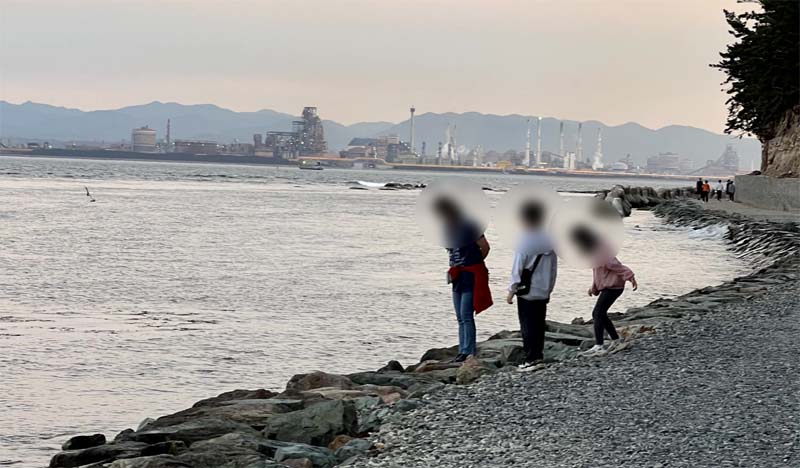 해파랑 산책로와 바다, 철의 묘한 조화