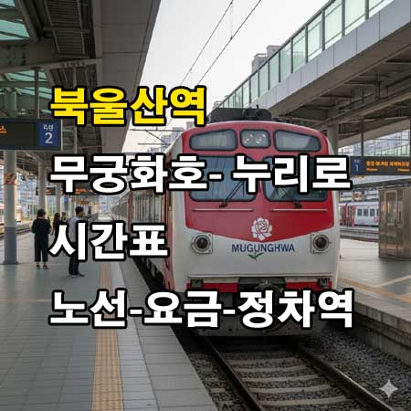 북울산역-무궁화호-누리로-시간표-정차역-노선도-첫기차-마지막기차-요금표