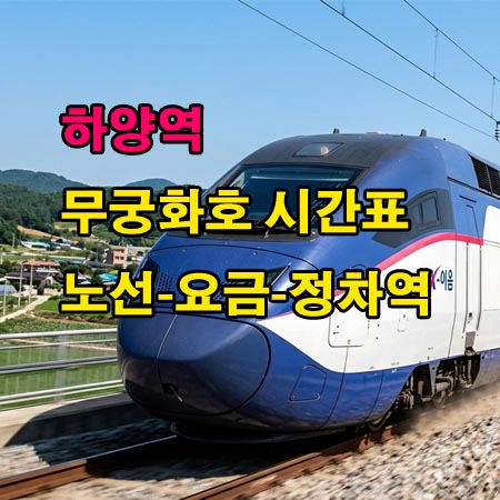 하양역-시간표-무궁화호-누리로-시간표-정차역-노선도-첫기차-마지막기차-요금표