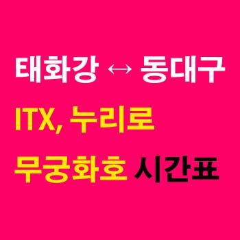 태화강역-동대구역-기차-ITX-마음-누리로-무궁화호-상하행-시간표-대구선-첫기차-마지막기차-요금-정차역