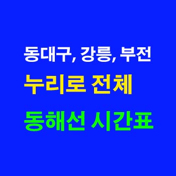누리로-시간표-동대구-강릉-동대구-태화강-부전-동해선-대구선-상하행-전체-첫기차-마지막기차-노선-요금-정차역-실시간